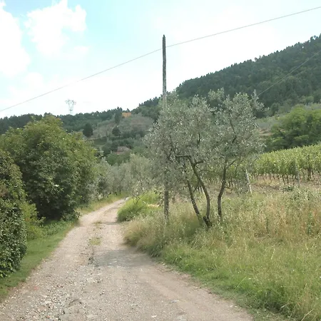 Belvilla By Oyo Casa La Fioraia Feriehus Carmignano